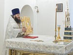 В праздник Собора Пресвятой Богородицы Преосвященнейший епископ Дионисий совершил Литургию в храме иконы Божией Матери «Казанская» города Павловска