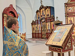 Епархиальный крестный ход прошел по территории Россошанского церковного округа