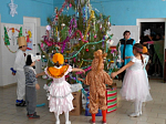 Новогодняя елка в Тимирязево