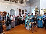 В Казанском храме поселка Каменка вознесена соборная молитва о детях, страдающих онкологическими заболеваниями