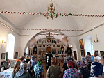 Калачеевцы помолились у чудотворной иконы Божией Матери «Оршанская»