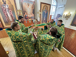 Престольный праздник Александро-Невского храма г. Россошь