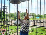 «Слава тебе, Боже!» - в Каменском благочинии по традиции прозвучал соборный благовест в День Крещения Руси 