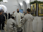 В праздник Крещения Господня Преосвященнейший Дионисий, епископ Россошанский и Острогожский, совершил Литургию в храме иконы Божией Матери «Казанская» города Павловска