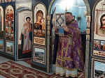 В Россошанском церковном округе совершили Литургии в день 50-летия архиерейской хиротонии Святейшего Патриарха и всея Руси Кирилла
