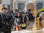 Архипастырский визит в Богучарское благочиние