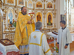Престольные праздники в Богучарском благочинии