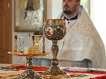 Преосвященнейший епископ Дионисий совершил Литургию в Богоявленском храме села Сухой Донец