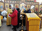 Настоятели храмов Павловского церковного округа ознакомили прихожан с патриаршей программой «Исследуйте Писания»