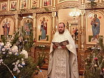 Праздник Рождества Христова молитвенно отметили в Успенском храме села Верхний Мамон