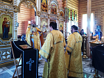 Вербное воскресенье в храме Пресвятой Троицы  с. Лозовое