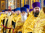 В Воронеже состоялся общегородской крестный ход, приуроченный ко дню памяти Собора святых Воронежской митрополии
