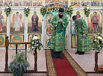 Епископ Россошанский и Острогожский Дионисий совершил Божественную литургию в храме Святого Духа с. Петренково Острогожского района