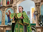 В день Вербного воскресенья в Преображенском храме села Заболотовка состоялось праздничное богослужение