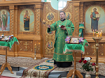 Епископ Дионисий возглавил престольное торжество храма святого благоверного князя Александра Невского с. Петровка