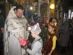 Рождество Христово в Преображенском храме г. Острогожска 