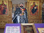 Соборная служба в храме Архистратига Михаила села Александровка-Донская