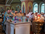 Дивногорская (Сицилийская) икона Божией Матери в Михайло-Архангельском храме г.Острогожска 