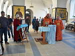 В День трезвости в храмах Павловского благочиния совершили молебны о страждущих недугом зависимости