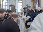 Архипастырский визит в Богучарское благочиние