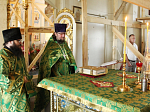 Праздник Святой Троицы в Тихоновском соборном храме Острогожска