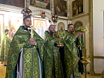 Престольный праздник Александро-Невского храма г. Россошь