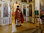 В Россошанском благочинии совершена соборная миссионерская Божественная литургия