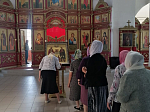 В храмах Россошанского благочиния пребывала икона святых благ. кн. Александра Невского и праведного Феодора Ушакова с частицами мощей.