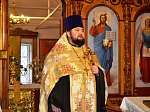 В Павловском благочинии совершили молебен о здравии Святейшего Патриарха Московского и всея Руси Кирилла