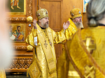 Торжественное соборное богослужение в праздник Собора Воронежских святых было совершено в Благовещенском кафедральном соборе города Воронежа