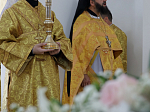 Правящий Архиерей совершил первую Божественную литургию в новопостроенном храме во имя первоверховного апостола Павла города Павловска