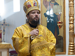 Правящий Архиерей совершил Литургию в Георгиевском храме села Терновое Острогожского района