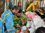 Вербное Воскресенье в Павловске