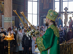 В праздник Входа Господня в Иерусалим глава Россошанской епархии совершил Литургию в Свято-Ильинском кафедральном соборе города Россоши