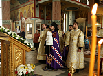 В Неделю 7-ю по Пасхе Преосвященнейший епископ Дионисий совершил Литургию в Ильинском кафедральном соборе