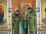 В храме Пресвятой Троицы с. Лозовое встретили престольный праздник