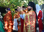 В день памяти сщмч. Василия Максимова в Никольском храме с. Бабка Павловского района соборно совершена Божественная литургия на малой Родине святого
