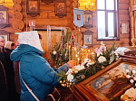В селе Верхний Мамон прихожане Успенского храма молитвенно отметили праздник Крещения Господня