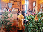 Праздник Святой Троицы в храме Успения Пресвятой Богородицы села Верхний Мамон