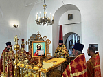 Соборное богослужение в главном храме Павловского благочиния