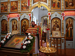 В Казанском храме поселка Каменка прошла акция «Любовь сорадуется Истине»