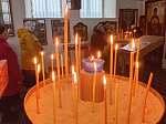В селе Осетровка Верхнемамонского района соборно отметили престольный праздник