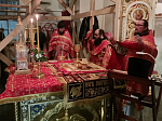 Пасхальное богослужение в Тихоновском соборном храме Острогожска 