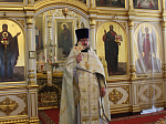 Соборное богослужение в Тихоновском  храме Острогожска в престольный праздник