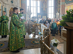 В праздник Входа Господня в Иерусалим епископ Дионисий совершил Божественную литургию в Ильинском кафедральном соборе Россоши