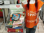 В Россошанском церковном округе прошла благотворительная акция