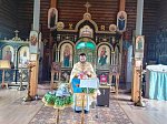 В храмах Калачеевского церковного округа был совершён молебен о страждущих недугом винопития и наркомании
