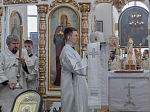 Архипастырский визит в Богучарское благочиние