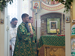 Епископ Россошанский и Острогожский Дионисий совершил Божественную литургию в храме Святого Духа с. Петренково Острогожского района