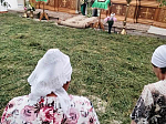 В храмах Павловского благочиния совершались праздничные богослужения в день Святой Троицы.
